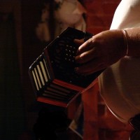 D hands playing concertina