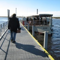 Walking onto the Curlip 0809