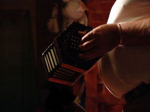 D hands playing concertina